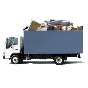 Cleanup & Waste Management